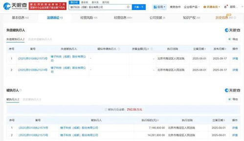 羅永浩拒不履行2142萬元債務，基礎軟件服務再陷風波